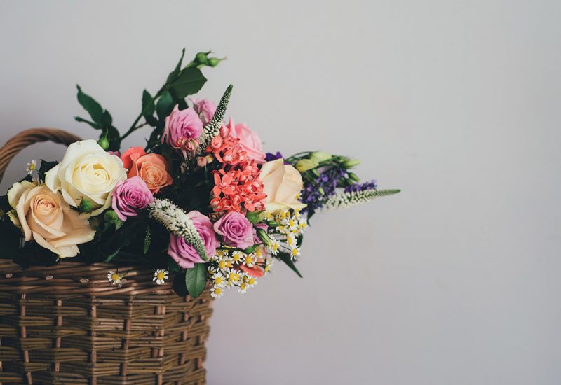 flowers flowers